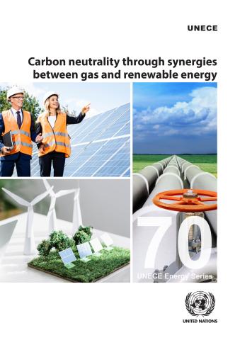 Carbon Neutrality Through Synergies Between Gas and Renewable Energy