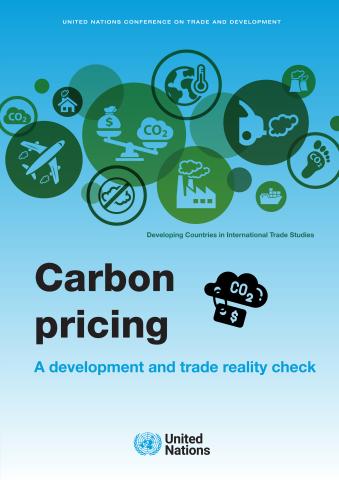 Carbon Pricing: A Development and Trade Reality Check