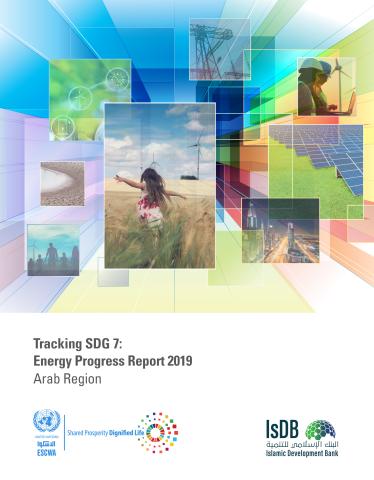 Tracking SDG 7: Energy Progress Report 2019 - Arab Region