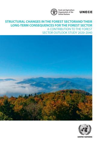 Structural Changes in the Forest Sector and Their Long-term Consequences for the Forest Sector