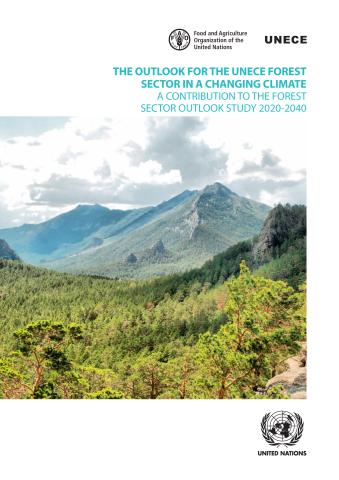 The Outlook for the UNECE Forest Sector in a Changing Climate 