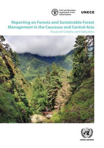 Reporting on Forests and Sustainable Forest Management in the Caucasus and Central Asia 