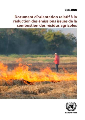 Document d’orientation relatif à la réduction des émissions issues de la combustion des résidus agricoles
