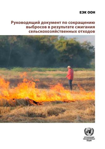 Guidance Document on Reduction of Emissions from Agricultural Residue Burning (Russian language)