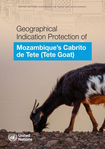Geographical Indication Protection of Mozambique’s Cabrito de Tete (Tete Goat)