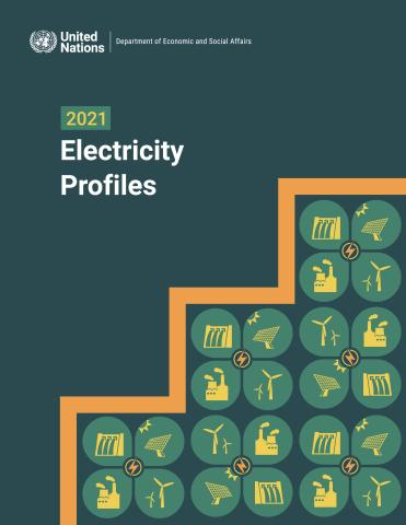 2021 Electricity Profiles