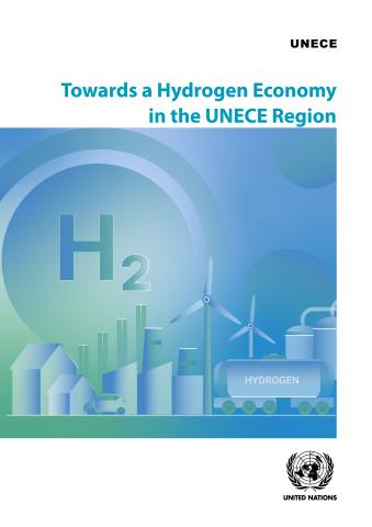 Towards a Hydrogen Economy in the UNECE Region