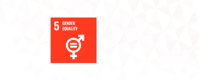 The Gender Equality banner graphic