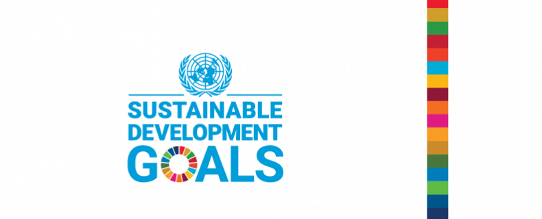 The Sustainable Development Goals banner graphic