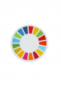 A picture of the SDG wheel decal