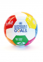 A picture of the SDG Soccer Ball